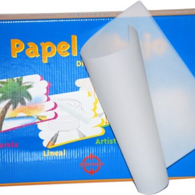 Paper vegetal din a-3 95 gr.