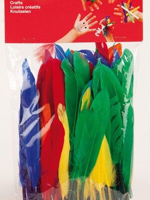 Plomes aus de colors bossa 100 un