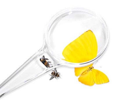 Lupa 80 mm 2 lentes 2x-5x